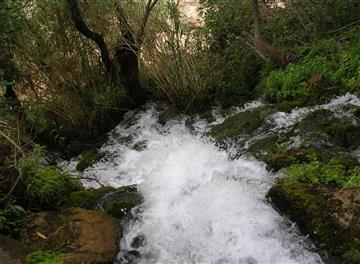 قسمتهایی از آبشار شوی