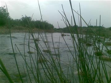 بیشه روستای شهری کهنه