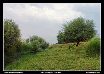 باغات روستای زاویه دزفول